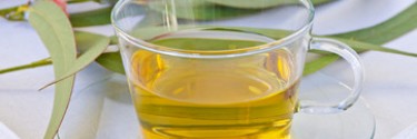 Tisane d'eucalyptus