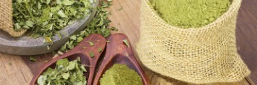 Bienfaits moringa