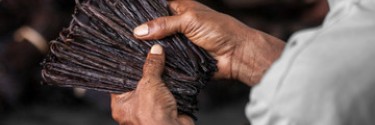 Comment conserver les gousses de vanille ?