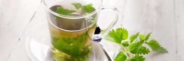 Tisane d'ortie