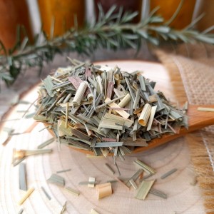 grossiste citronnelle bio