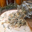 citronnelle bio en gros